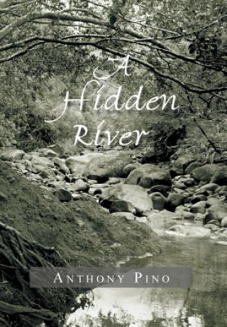 Hidden River