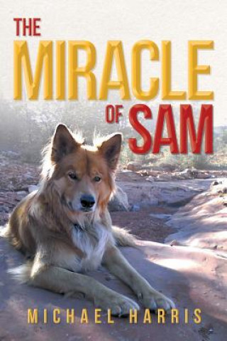 Miracle of Sam