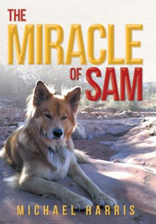 Miracle of Sam