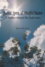 Quanta, Spirit, and Mindful Matter