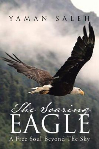Soaring Eagle