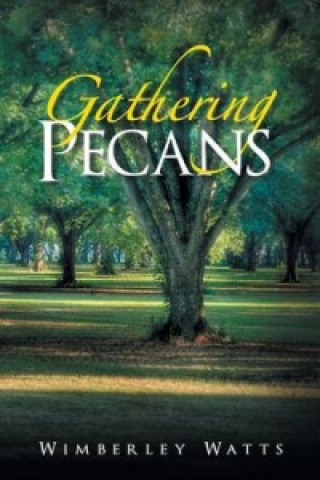 Gathering Pecans