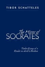 Mirror of Socrates