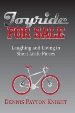 Joyride for Sale