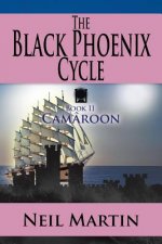 Black Phoenix Cycle