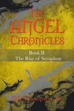 Angel Chronicles