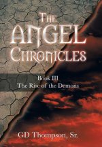 Angel Chronicles