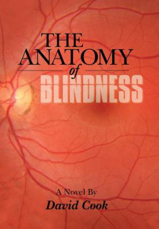 Anatomy of Blindness