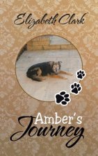 Amber's Journey