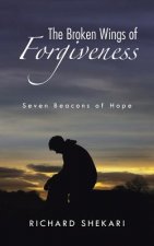 Broken Wings of Forgiveness