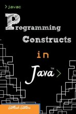 Programming Constructs in JAVA