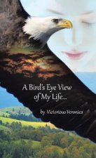 Bird's Eye View of My Life