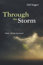 Through the Storm