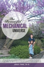 Beautiful Mechanical Universe