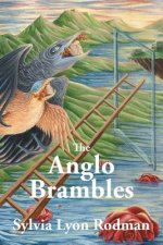 Anglo Brambles