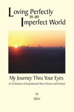 Loving Perfectly in an Imperfect World - My Journey Thru Your Eyes