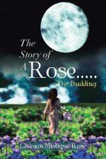 Story of a Rose.....the Budding