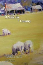 Little Bit of Country