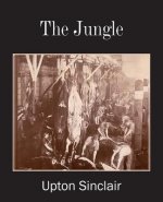 Jungle