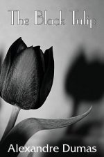 Black Tulip