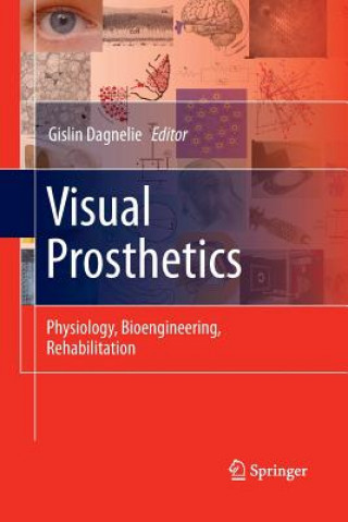 Visual Prosthetics