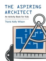 Aspiring Architect