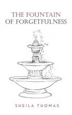 Fountain of Forgetfulness