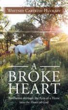 Broke Heart