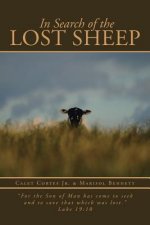 In Search of the Lost Sheep