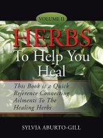 Herbs to Help You Heal