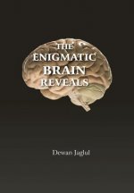 Enigmatic Brain Reveals