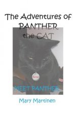 Adventures of Panther the Cat