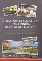Strategic Realization of Millennium Development Goals