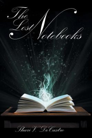 Lost Notebooks