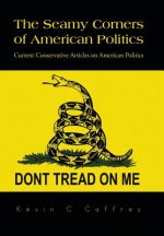 Seamy Corners of American Politics