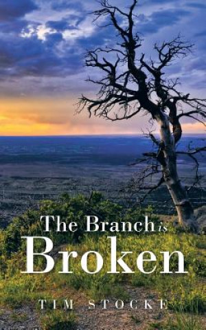 Branch Is Broken