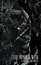 Spider Web