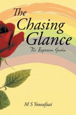 Chasing Glance