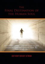 Final Destination of the Human Soul