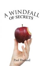 Windfall of Secrets