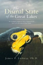 Dismal State of the Great Lakes
