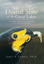 Dismal State of the Great Lakes