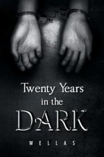 Twenty Years in the Dark