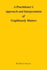 Practitioner's Approach and Interpretation of Neighbourly Matters
