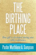 Birthing Place
