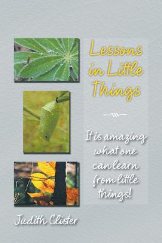 Lessons in Little Things