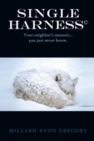 Title Single Harness(c)