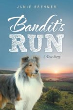 Bandit's Run