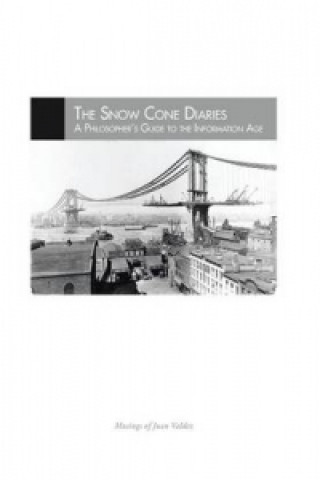 Snow Cone Diaries