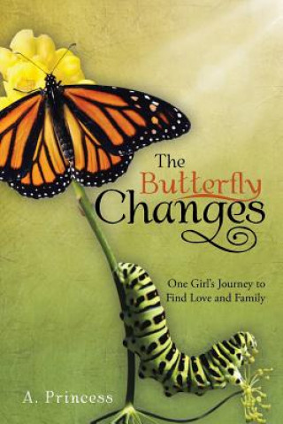 Butterfly Changes
